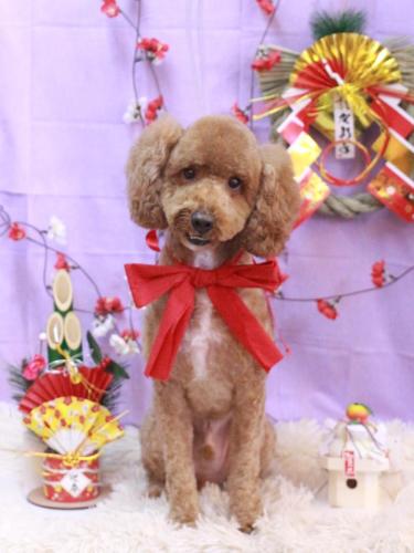 20230128ぶるくん